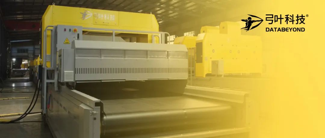 进口替代！威立雅华菲引进弓叶大型光选机