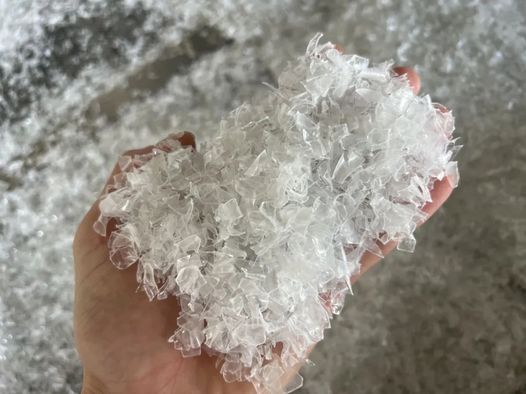 黄片不超标：弓叶AI荧光老化光选机破解黄片困局